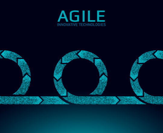 Agile Management